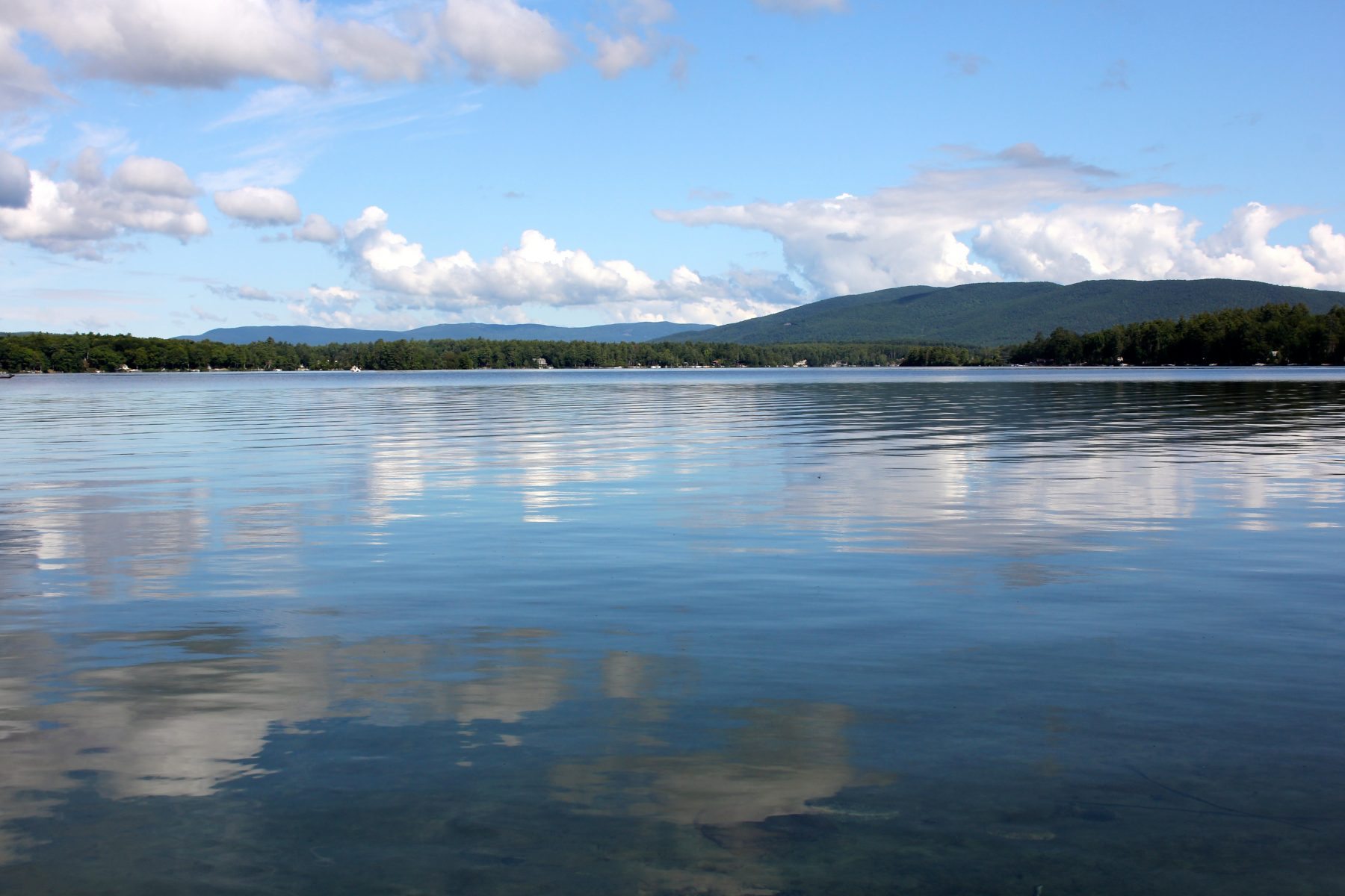 Summer at the Lake II